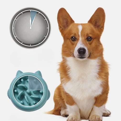 Slow Feed Pet Bowl For Dogs & Cats - Anti-Gulping Healthy Eating Bowl