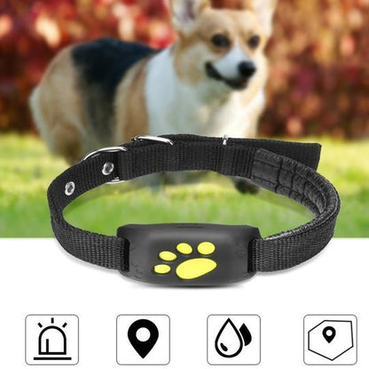 GPS Pet Tracker Pro - Real-Time Location & Escape Alerts