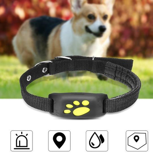 GPS Pet Tracker Pro - Real-Time Location & Escape Alerts