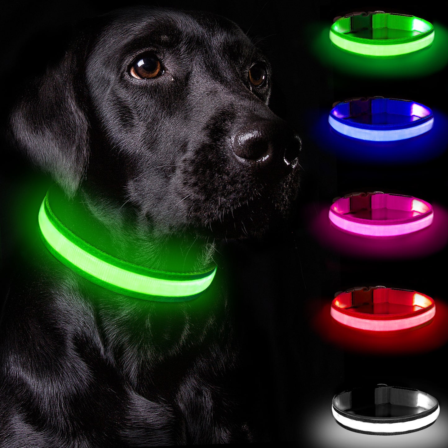 Rechargeable LED Dog Collar - High Visibility For Night Walks