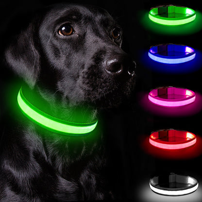 Rechargeable LED Dog Collar - High Visibility For Night Walks