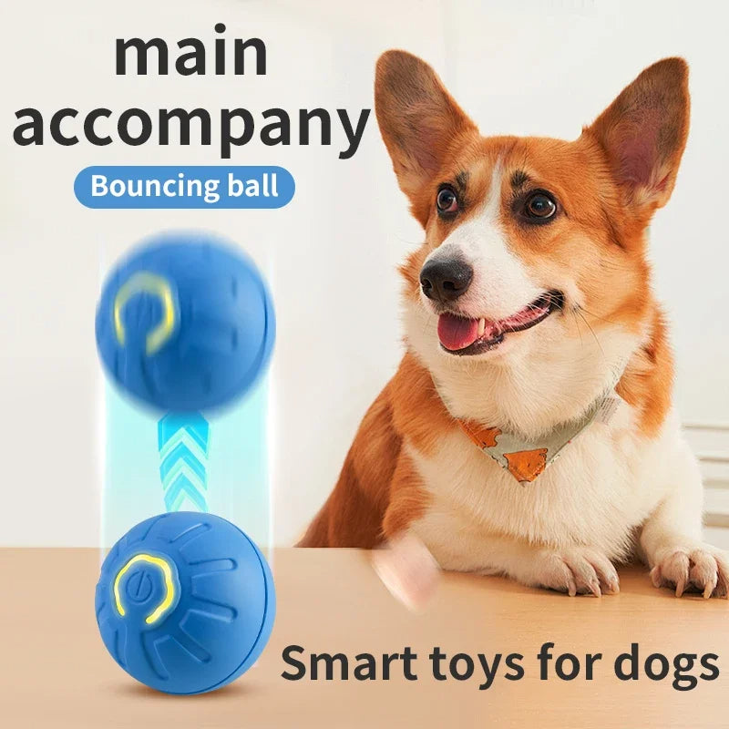 Automatic Rolling Dog Toy - Interactive Fun & Mental Stimulation