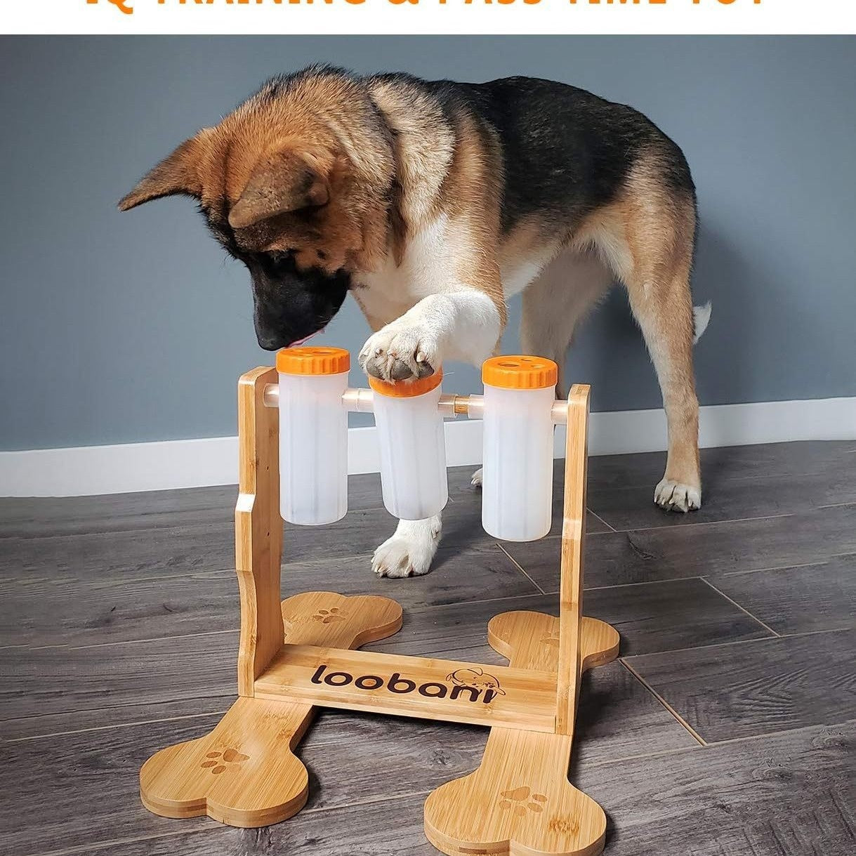 Interactive Dog Puzzle Feeder Toy