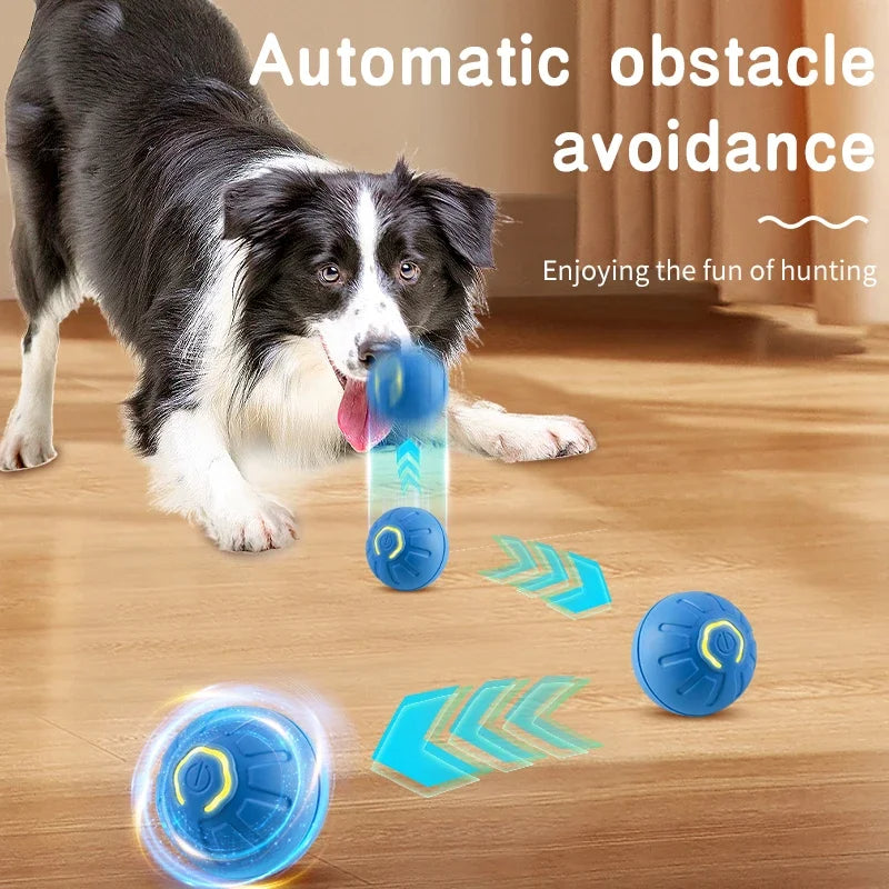Automatic Rolling Dog Toy - Interactive Fun & Mental Stimulation