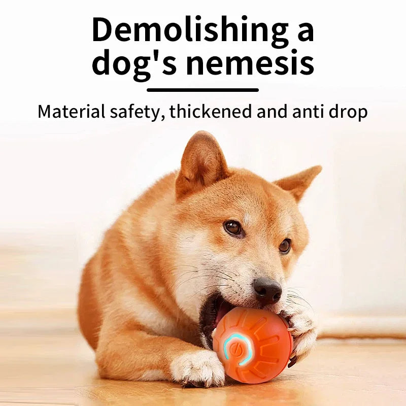 Automatic Rolling Dog Toy - Interactive Fun & Mental Stimulation