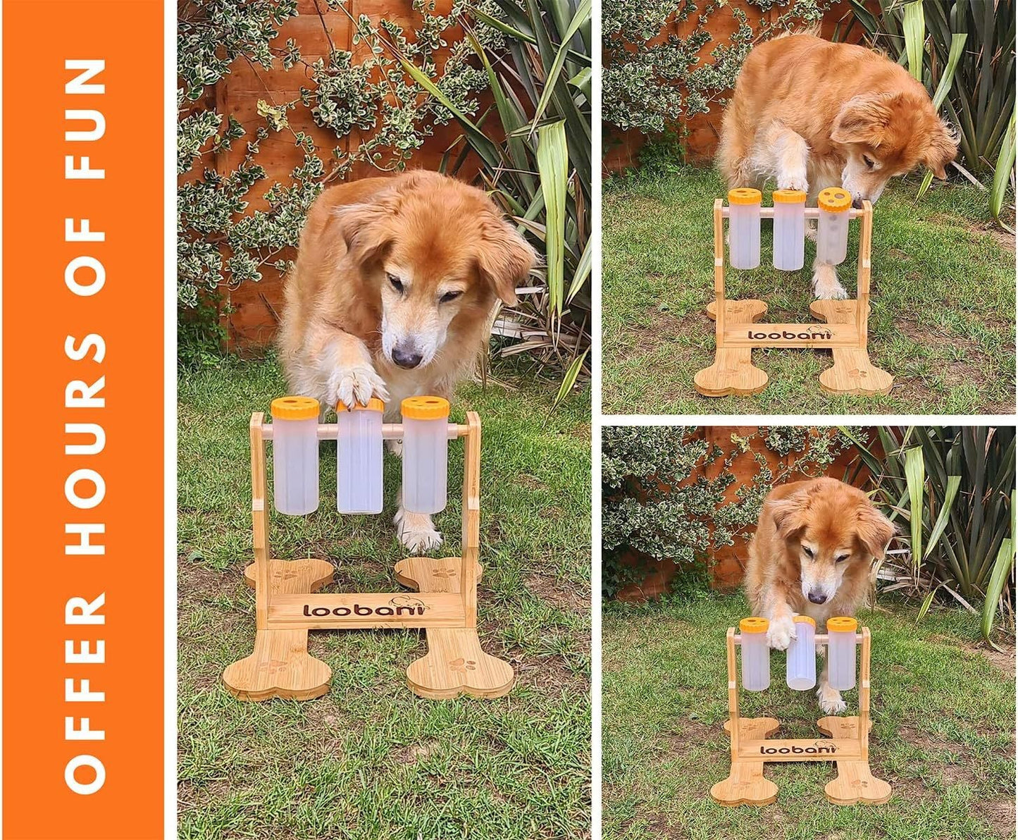 Interactive Dog Puzzle Feeder Toy