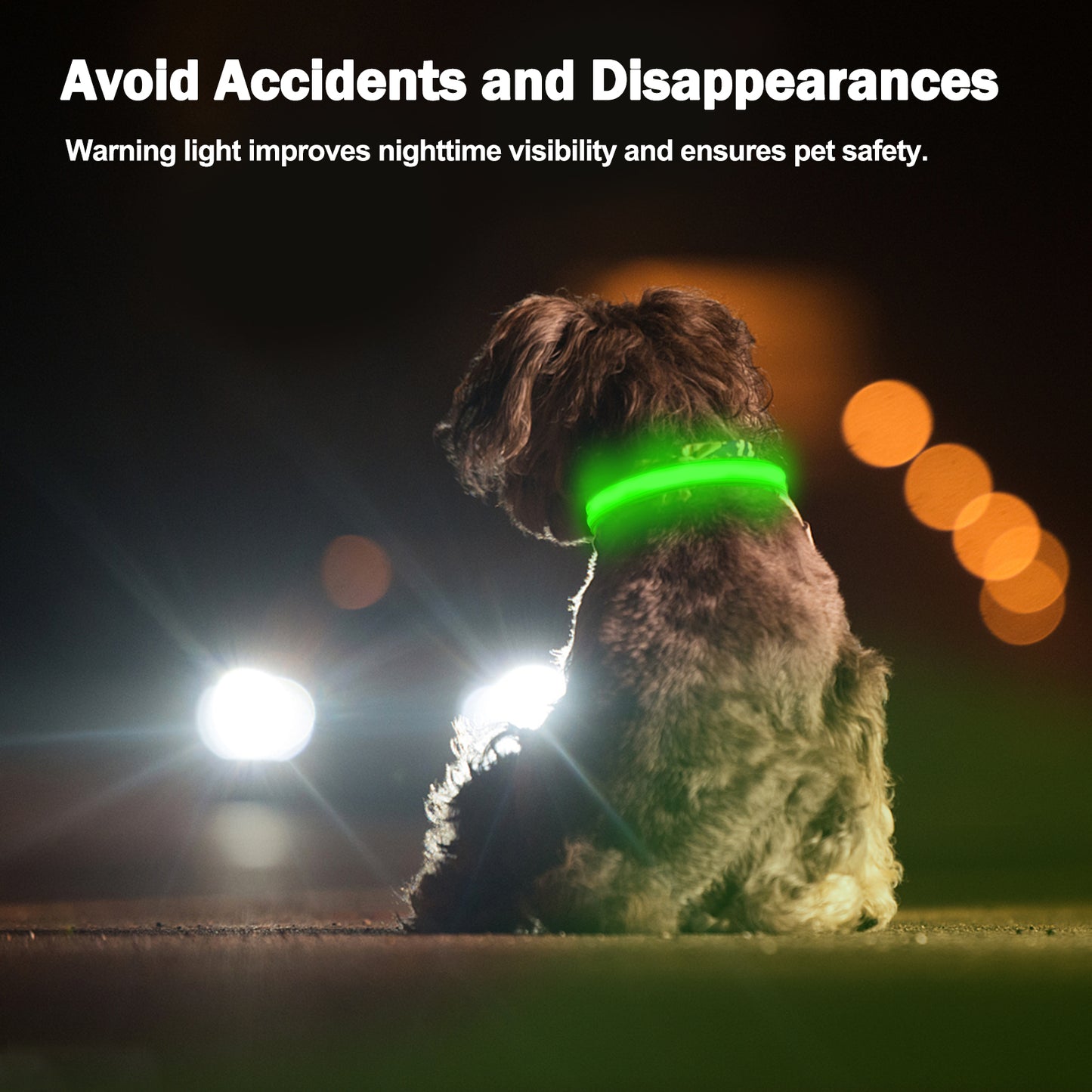Rechargeable LED Dog Collar - High Visibility For Night Walks